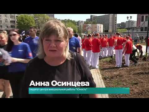 (10.06.2026) В сквере трудовой доблести Комсомольска высадили деревья и кустарники