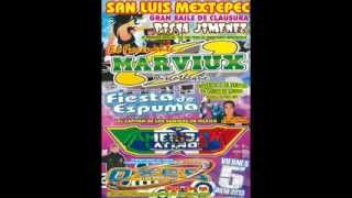 preview picture of video 'Marviux Viernes 5 de Julio 2013 San Luis Mextepec Toluca 2do Set'