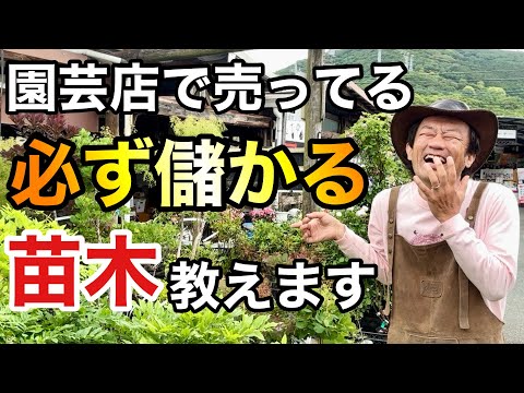 最も有毒な5つの観葉植物 庭の練習