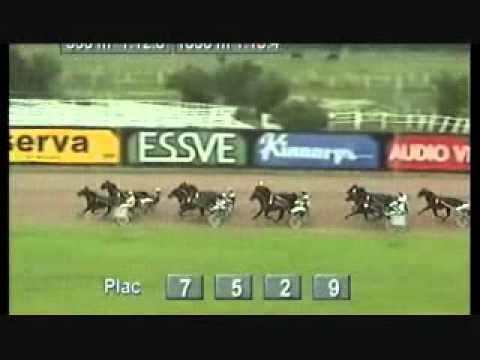 Gulddivisionen Halmstad 2002 -Home Alone