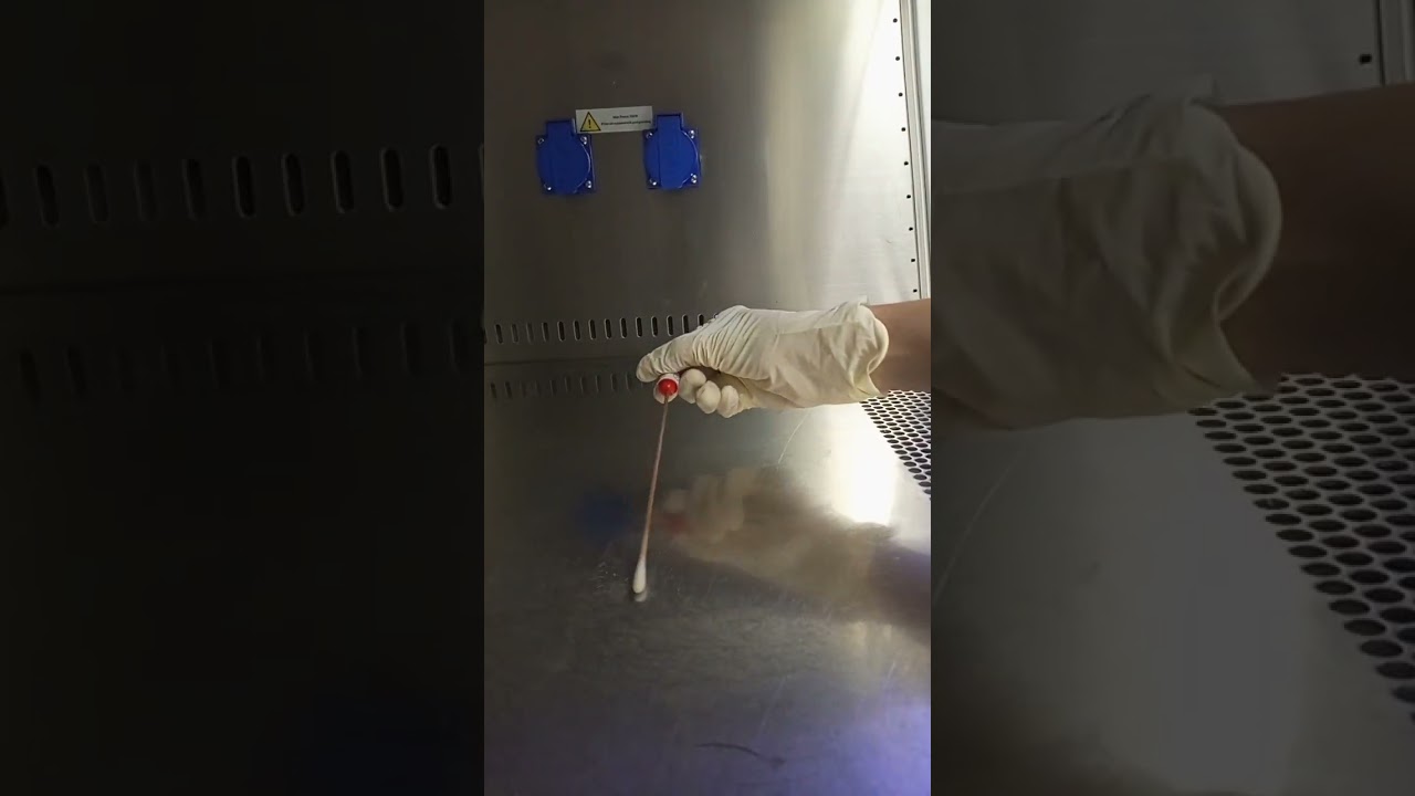 how to collect swab sample