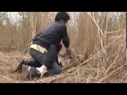 download lagu mp3 mp4 Good Boys Use Condoms 1998, download lagu Good Boys Use Condoms 1998 gratis, unduh video klip Good Boys Use Condoms 1998