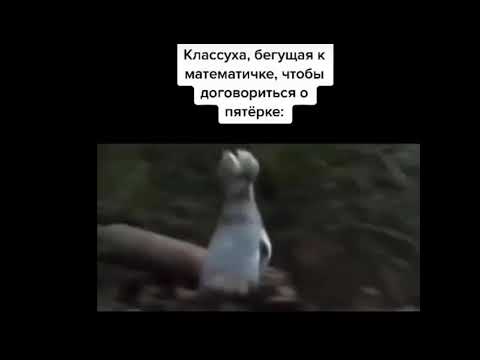 Марина！МАРИНА)