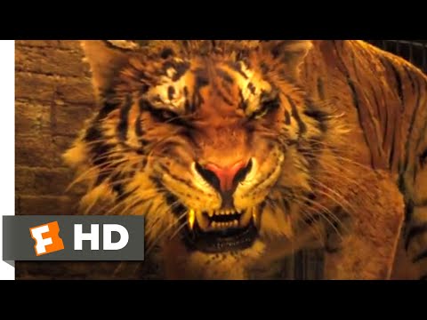 Dolittle (2020) - Tiger Therapy Scene (6/10) | Movieclips
