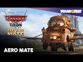Carros Toon Mate Aereo