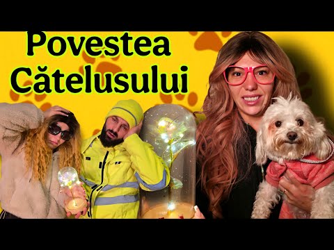 The Story of the Lost Puppy 🐶 | S2 Ep.6 🕸️ The Poison Rose Trap 🌹☠️