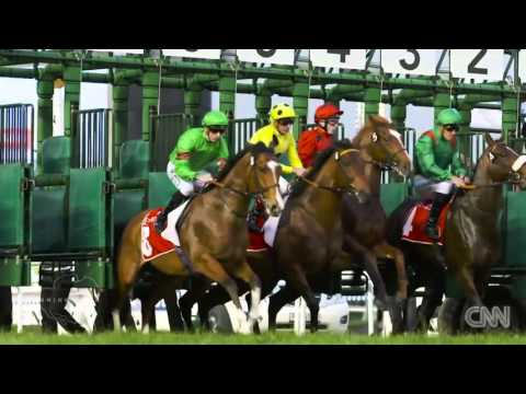 Meydan: A thorougbred racing destination