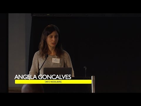 SCOG Workshop Computational Single Cell Genomics 2019: Angela Goncalves, DKFZ Heidelberg