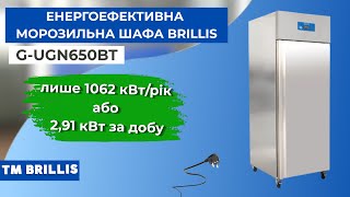 Шкаф морозильный энергоэффективный BRILLIS G-UGN650BT