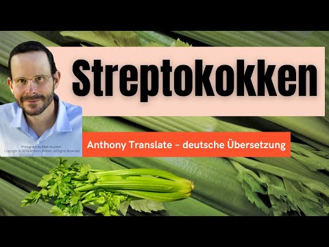 Streptokokken – jeder trägt sie in sich – Anthony William – deutsche Übersetzung