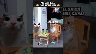 Download lagu Who really wins? 🤔 #shorts #catmeme #catmeme #funny #entertainment #meme mp3