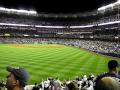 Mets Fan Celebrates Too Early In Yankee Stadium EPIC FAIL Put It In The Books