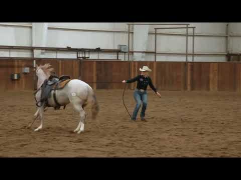 2025 Colt Starting: Come To Me Exercise