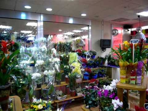 Mur d'eau à bulles Auzalys