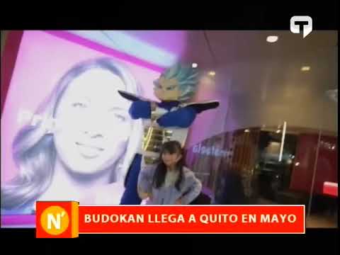 Budokan llega a Quito en Mayo