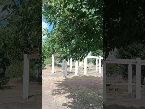 Localidad de El Eucalipto , M.E.V.I.R. , departamento de Paysandú , Uruguay 🇺🇾 . Videitos