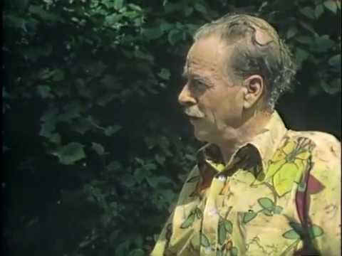 Marshall McLuhan 1970 - Television as mythic form with Tom Wolf