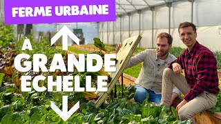 Download lagu Urban Agriculture: Europe's Largest Aquaponic Farm mp3