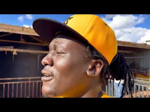 DOMINATION - ALA KAM (VISUALIZER)