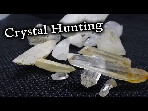 Hunting for the elusive clear quartz crystal.