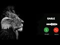 Eagle Ringtone 2022 Ringtone World Famous Eagle Ringtone