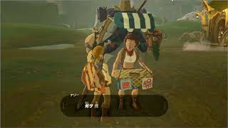 【時を超える】ゼルダの伝説 ブレスオブザワイルド　パート9【ゼルダの伝説】
