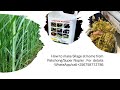 How To Make Silage From Pakchong SuperNapier 256758712786