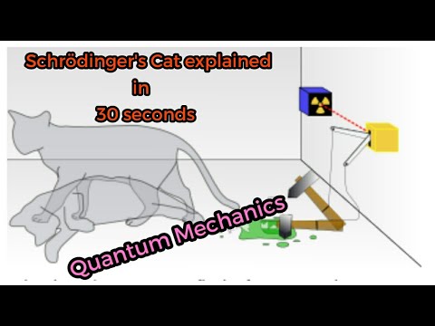 Schrödinger's Cat Experiment Explained in 30 Seconds