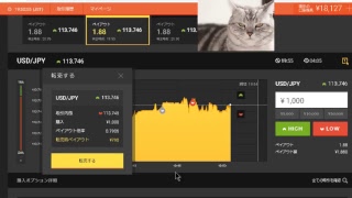 【FX】1万円から始める為替取引【BO】58