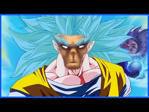 THE FULL AP NUNU EXPERIENCE