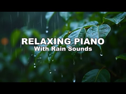 A Dreamer’s Rainy - Piano Music with Rain Sound for Deep Sleep and Relaxing