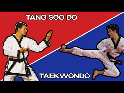 Taekwondo vs Tang Soo Do
