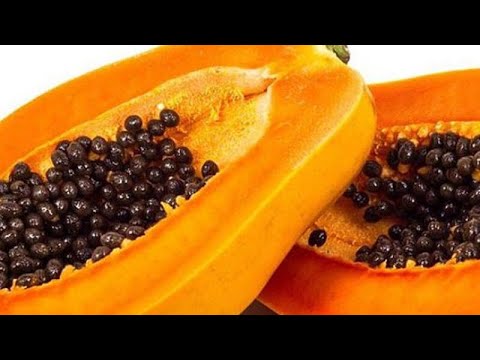 How to cut clean and store the seeds of a papaya......