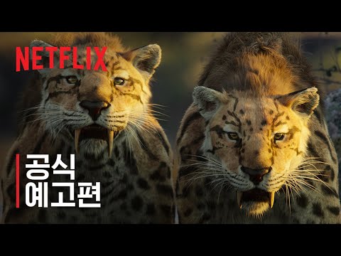 공식 예고편 예고편