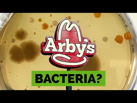 INVESTIGATION: what’s growing in your fast food water? -Arby’s edition-