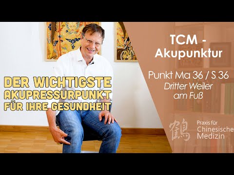 Acupuncture point Stomach 36, one of the most important TCM points, among other things for streng...