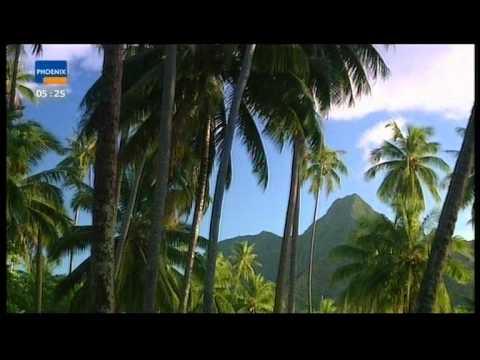 Tropenfieber - Mission Südland (3 / 5)