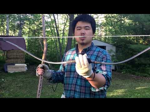 Korean Warbow 95lb@31 Daylite Monarq Review