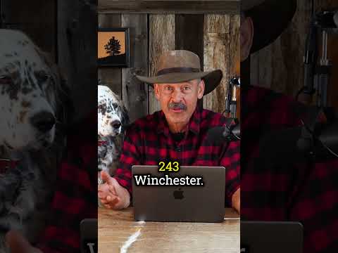 Versatility in the 243 Winchester