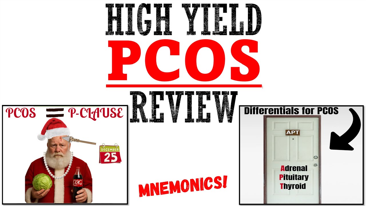 Polycystic Ovary Syndrome (PCOS) Review | Mnemonics & Proven Ways To Memorize For Your Exam!