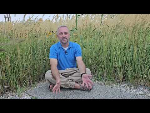 Virak i hajdučica, baza dobrog ženskog zdravlja