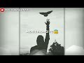 Mast Kalandar Whatsapp Status