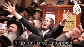הקליפ הרשמי 'לשפוך ליבי כמים' - הרב יוסף הכט ו"לחיים טיש"