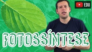 Aula Biologia - Fotossíntese - Visão Geral para o Enem e Vestibulares - STOODI