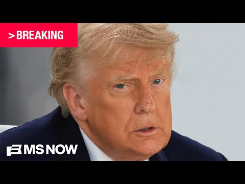 BREAKING: Georgia Republicans BUCK Trump redistricting hopes, hand Dems BIG WIN