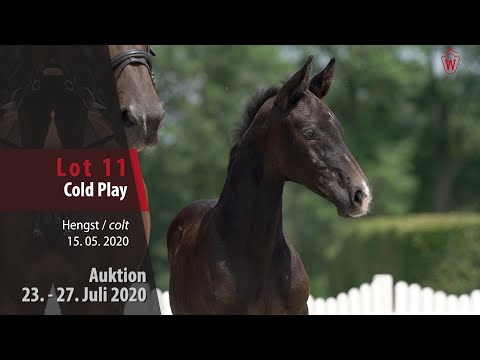 Westfälische Online Auktion 23. - 27. Juli: Lot 11 Cold Play Hengst v. Crime is Colin - Canturo