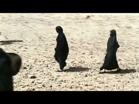 Which-Movie.net - Babel Trailer