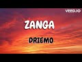 Driemo -  Nzanga (mzaliwa album) Lyrics