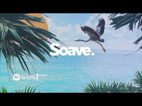 Yann Muller, Fex & Motik - Circuit (ft. Adam Woods)