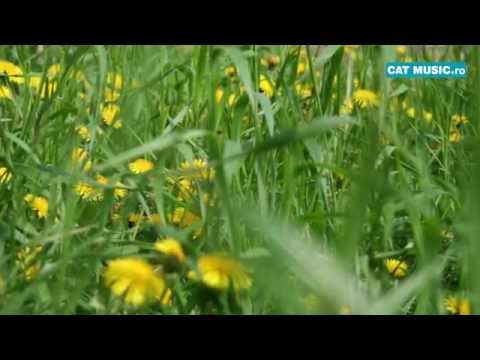 Directia 5 ft  Andra - First Days Of Spring (Official Single)